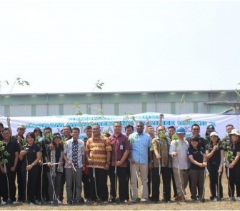 Menanam Satu Pohon, Merasakan Sejuta Manfaat